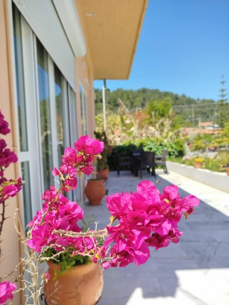 Ammos House Katakolo - By The Sea Villa Dış mekan fotoğraf